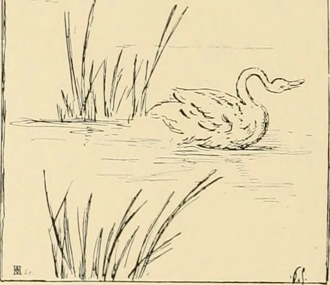 An illustration from Pompei : la ville, les moeurs, les arts, 1899, leaf 459