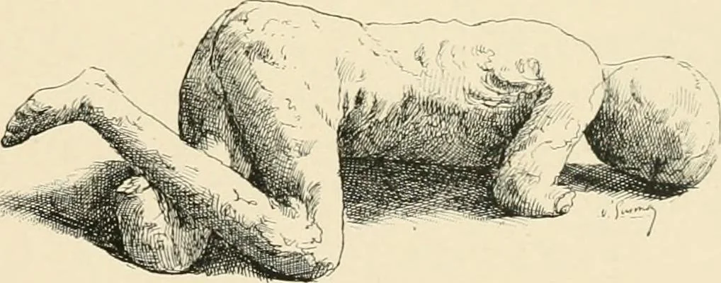 An illustration from Pompei : la ville, les moeurs, les arts, 1899, leaf 46