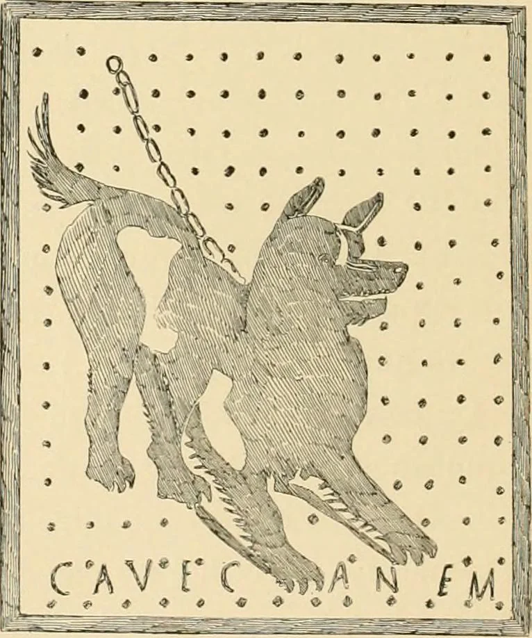An illustration from Pompei : la ville, les moeurs, les arts, 1899, leaf 465