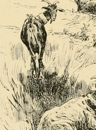 An illustration from Pompei : la ville, les moeurs, les arts, 1899, leaf 47