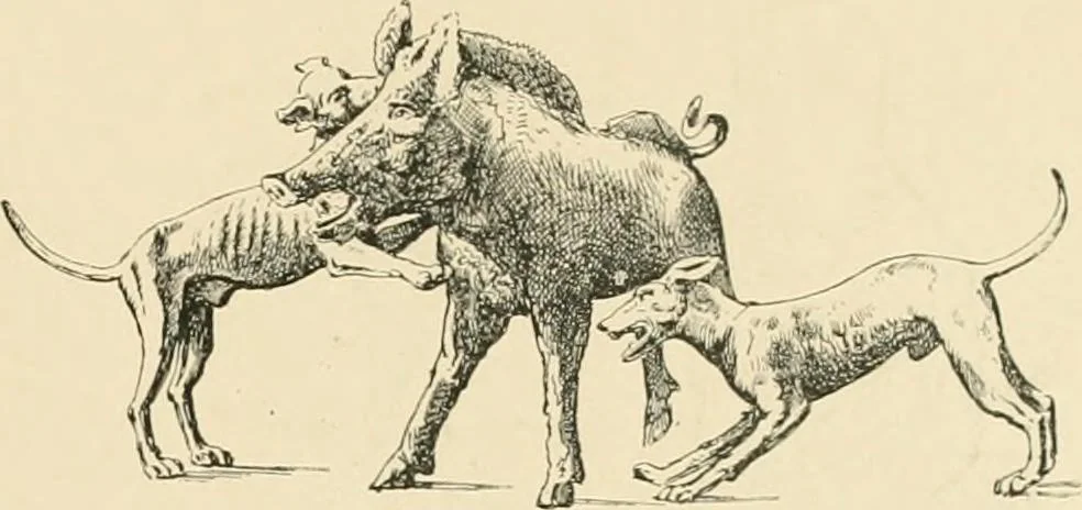 An illustration from Pompei : la ville, les moeurs, les arts, 1899, leaf 474