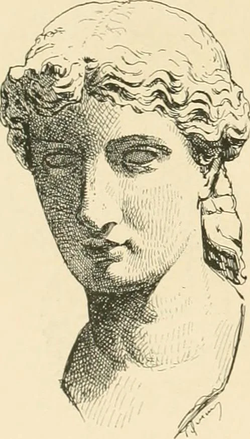 An illustration from Pompei : la ville, les moeurs, les arts, 1899, leaf 481