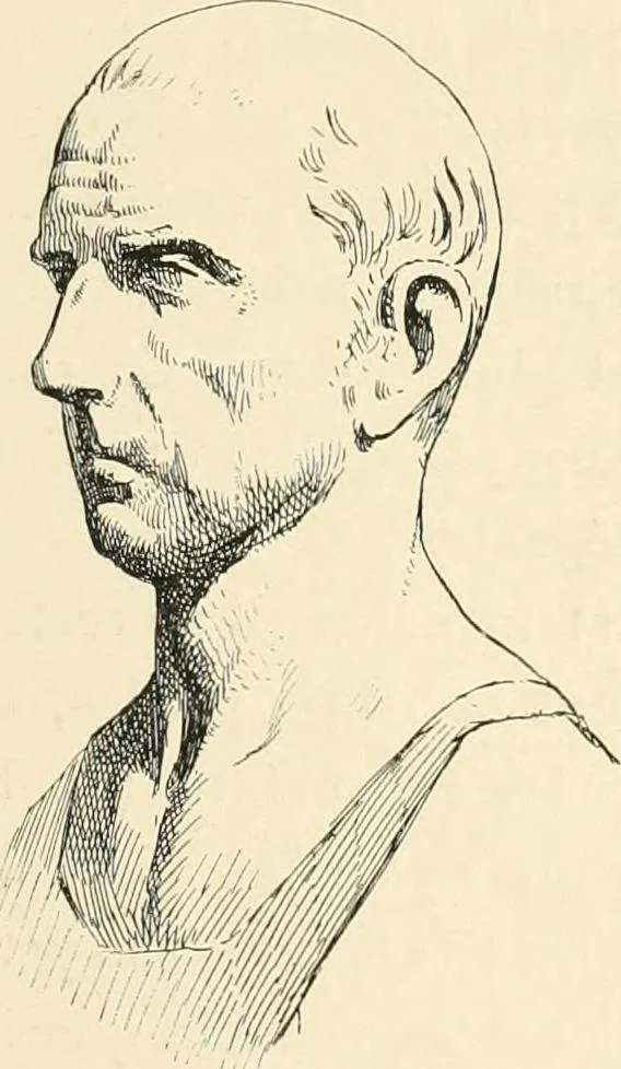 An illustration from Pompei : la ville, les moeurs, les arts, 1899, leaf 484