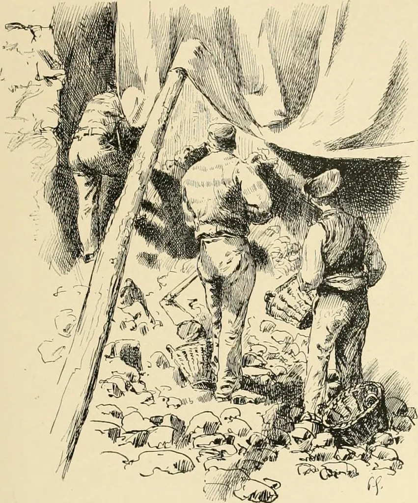 An illustration from Pompei : la ville, les moeurs, les arts, 1899, leaf 52