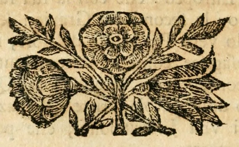 An illustration from Pompe natalizie celebrate nella felice nascita del real primogenito di Sauoia principe di Piemonte Vittorio Amedeo III : dall' augusta città di Torino, alli 24. giugno dell' anno M.DC.XC.IX, 1699, leaf 34
