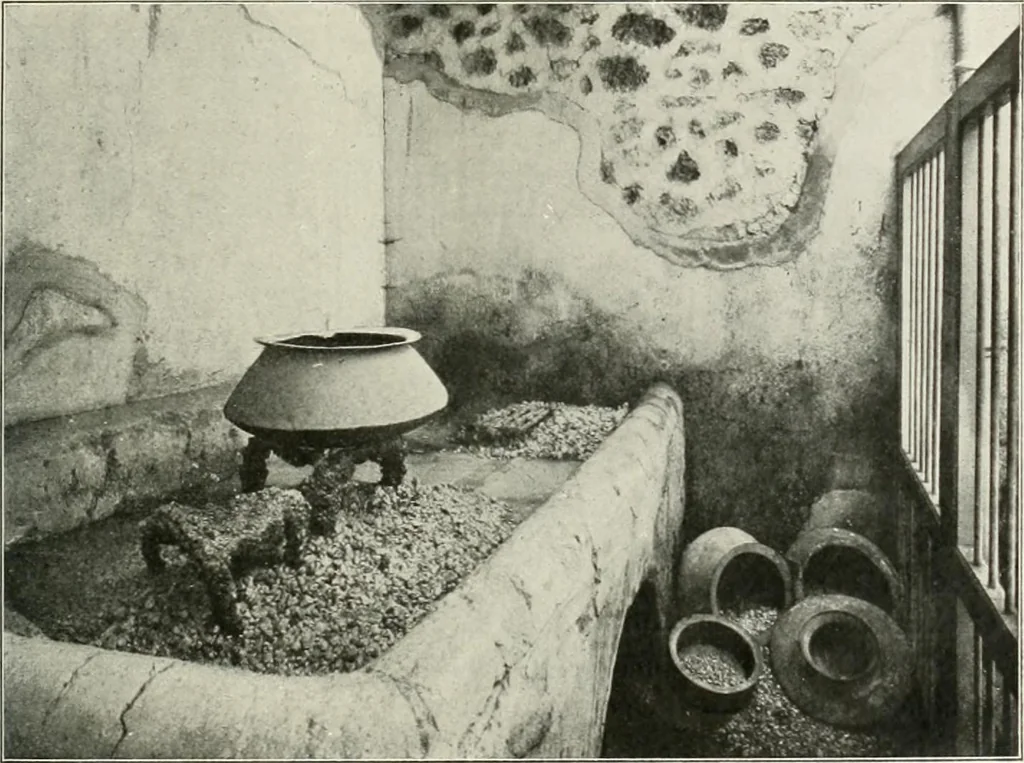 An illustration from Pompéi : histoire-vie privée, 1910, leaf 104