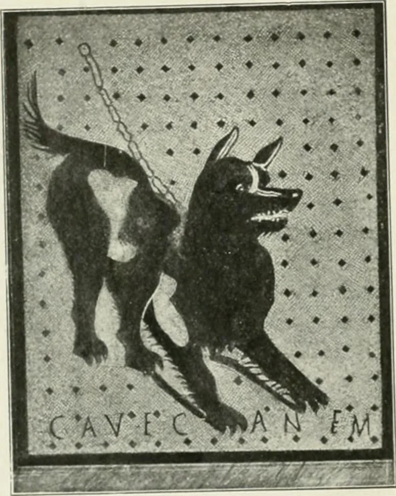 An illustration from Pompéi : histoire-vie privée, 1910, leaf 65