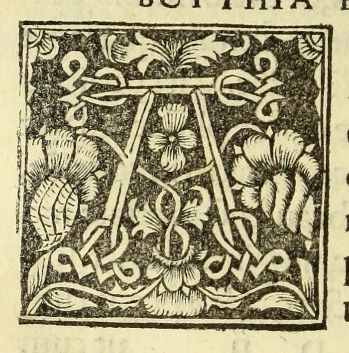 An illustration from Pomponii Melae De situ orbis, libri tres. : cum indice, 1520, leaf 42