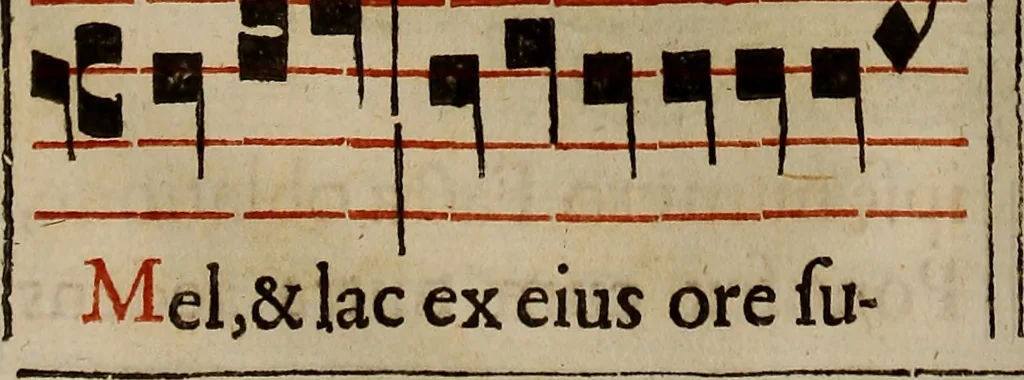An illustration from Pontificale romanvm Clementis VIII primum : posteà uerò Vrbani VIII ; auctoritate recognitum ; cum figuris, 1683, leaf 219