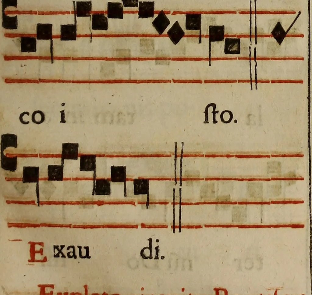 An illustration from Pontificale romanvm Clementis VIII primum : posteà uerò Vrbani VIII ; auctoritate recognitum ; cum figuris, 1683, leaf 294