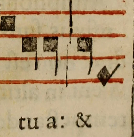 An illustration from Pontificale romanvm Clementis VIII primum : posteà uerò Vrbani VIII ; auctoritate recognitum ; cum figuris, 1683, leaf 566