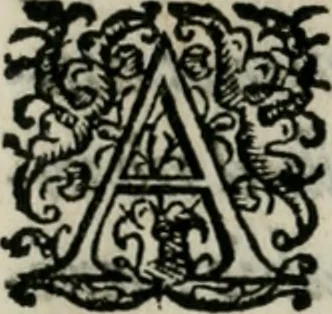 An illustration from Pontificvm Romanorvm effigies, 1580, leaf 13