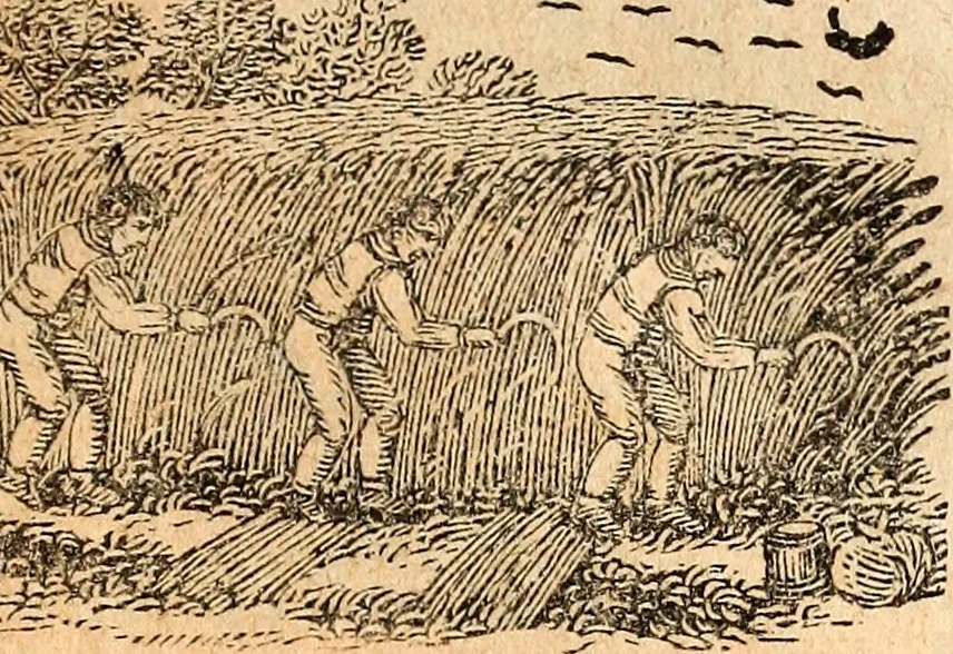 An illustration from Poor Will's almanack, for the year of our Lord ..., 1770, leaf 10