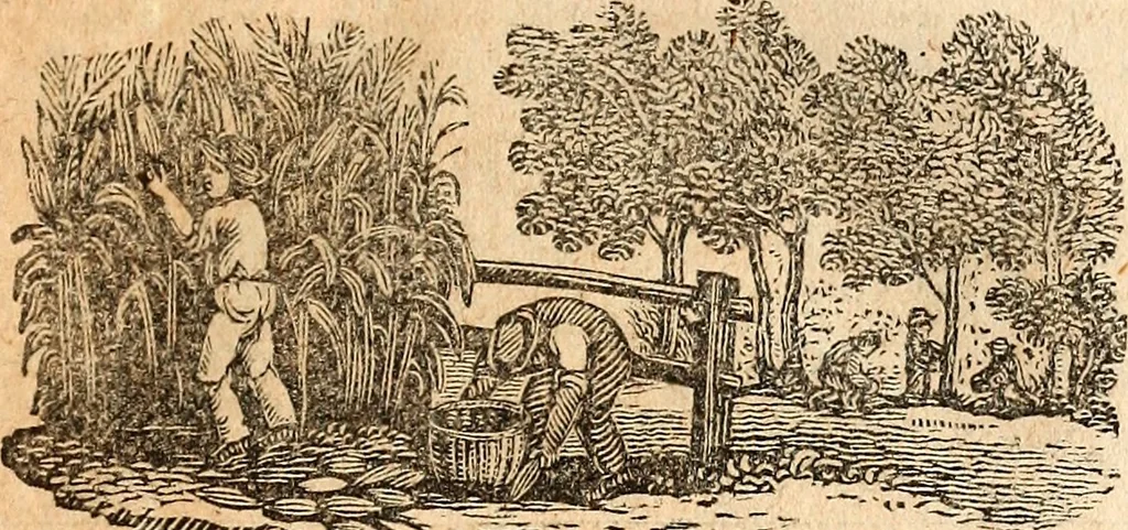 An illustration from Poor Will's almanack, for the year of our Lord ..., 1770, leaf 12