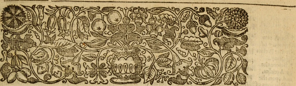 An illustration from The popish royall favourite : or, A full discovery of his majesties extraordinary favours to, and protections of notorious Papists, priests, Jesuits ... manifested by sundry Letters of Grace, warrants, and other writings under the Kings owne signe-manuall ... collected and published by authority of parliament, 1643, leaf 6