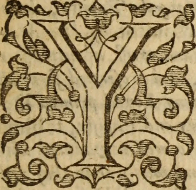 An illustration from The popish royall favourite : or, A full discovery of his majesties extraordinary favours to, and protections of notorious Papists, priests, Jesuits ... manifested by sundry Letters of Grace, warrants, and other writings under the Kings owne signe-manuall ... collected and published by authority of parliament, 1643, leaf 6