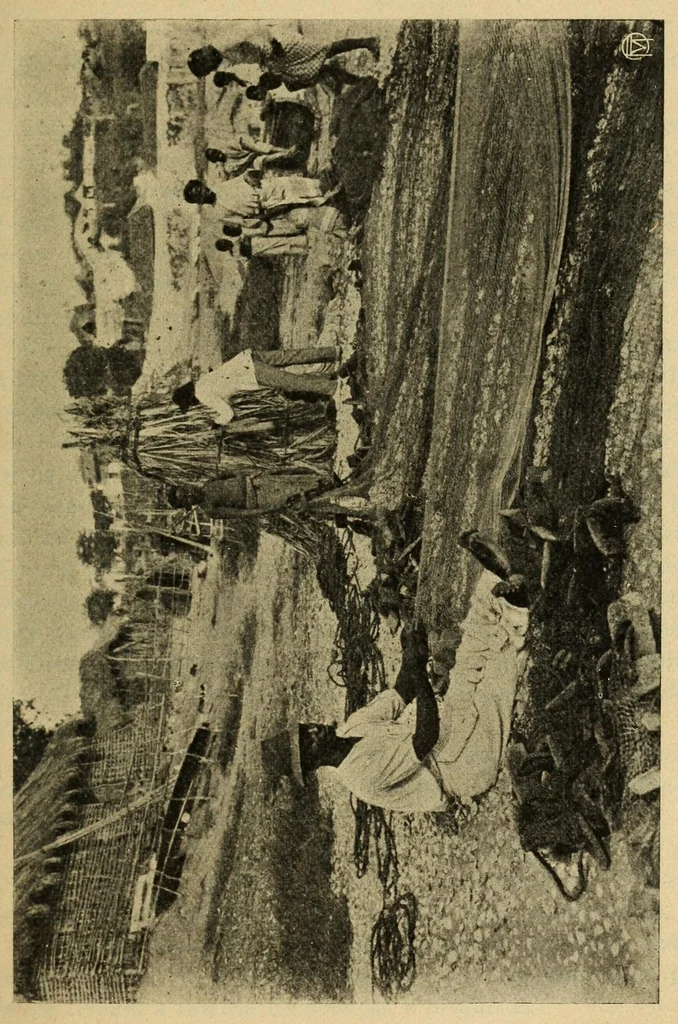 An illustration from Populações indígenas de Angola, 1918, leaf 61
