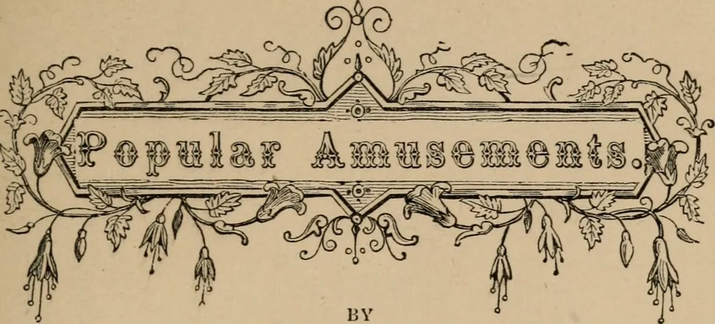 An illustration from Popular amusements, 1869, leaf 6