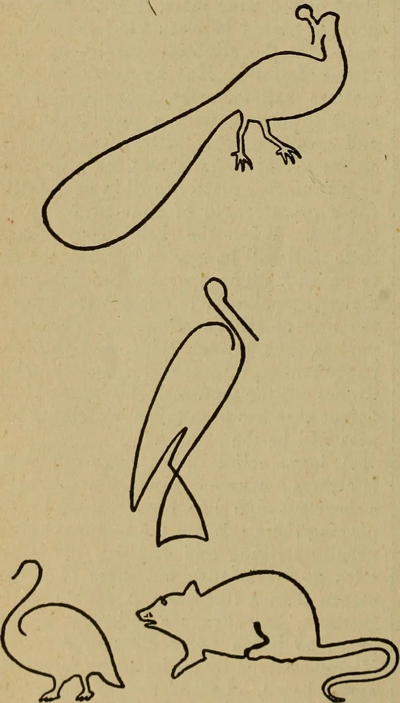 An illustration from Popular amusements for in and out of doors, embracing nine books in one volume, 1902, leaf 383