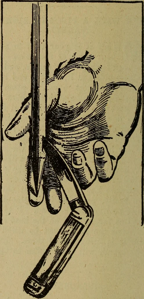 An illustration from Popular amusements for in and out of doors, embracing nine books in one volume, 1902, leaf 383