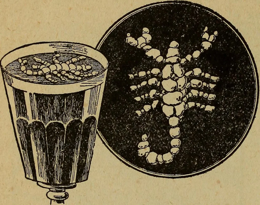 An illustration from Popular amusements for in and out of doors, embracing nine books in one volume, 1902, leaf 387