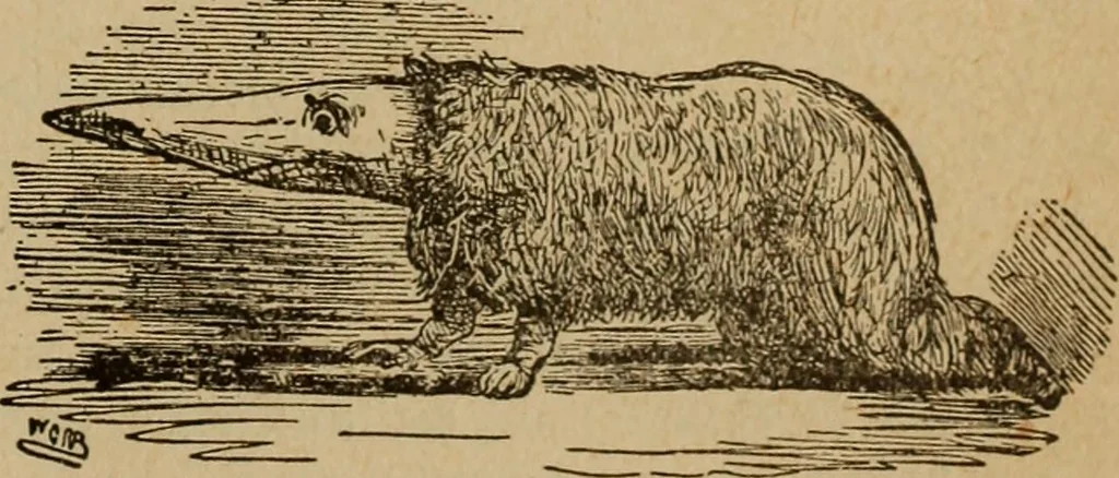 An illustration from Popular amusements for in and out of doors, embracing nine books in one volume, 1902, leaf 390