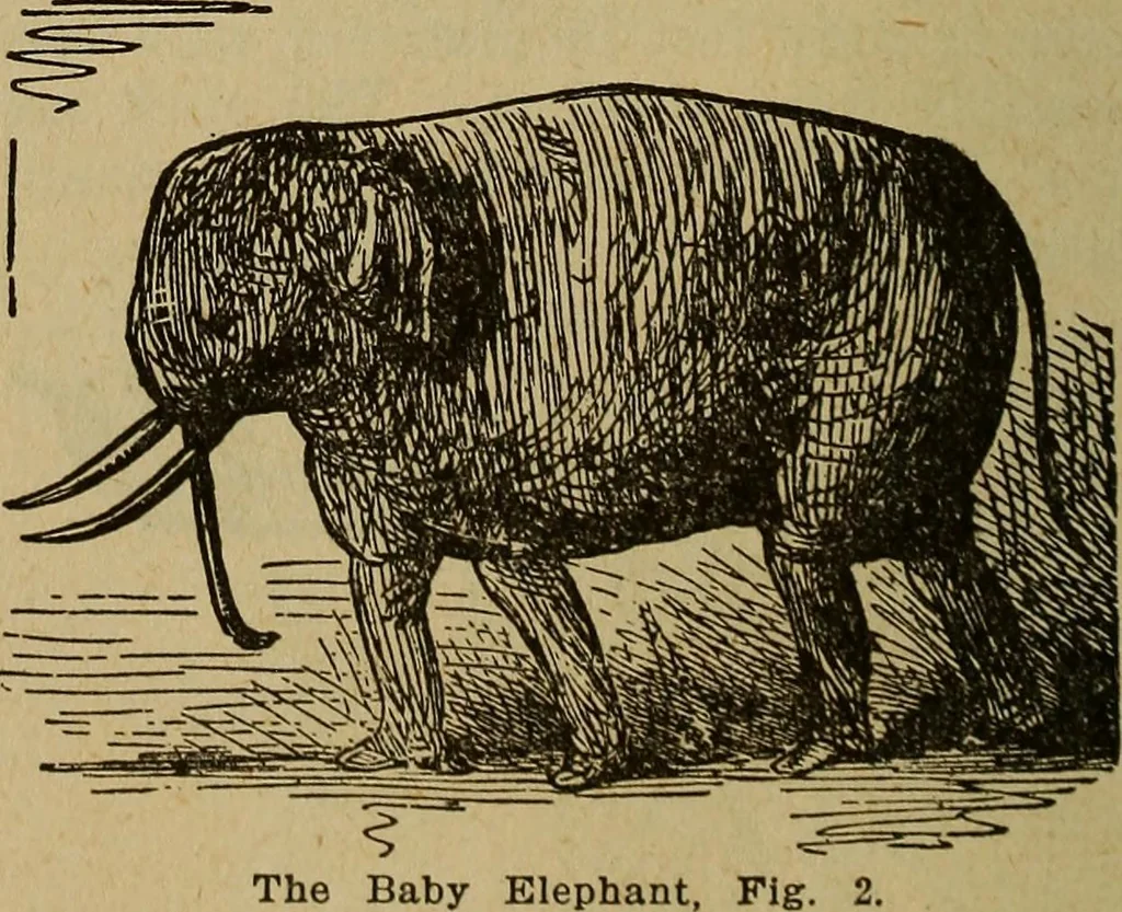 An illustration from Popular amusements for in and out of doors, embracing nine books in one volume, 1902, leaf 391