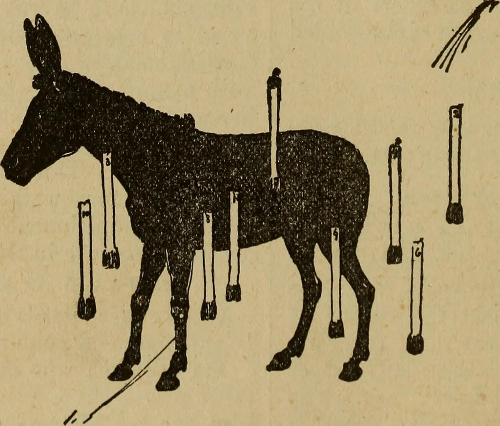 An illustration from Popular amusements for in and out of doors, embracing nine books in one volume, 1902, leaf 401