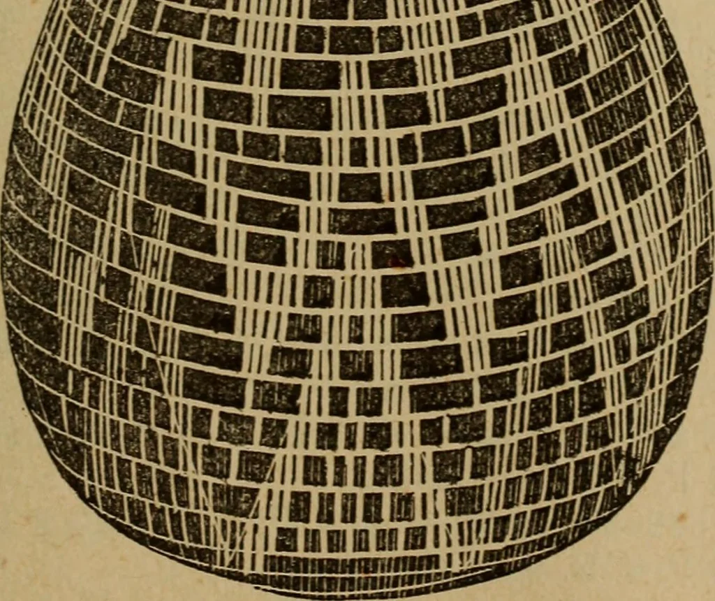 An illustration from Popular amusements for in and out of doors, embracing nine books in one volume, 1902, leaf 404