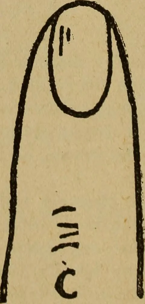 An illustration from Popular amusements for in and out of doors, embracing nine books in one volume, 1902, leaf 451