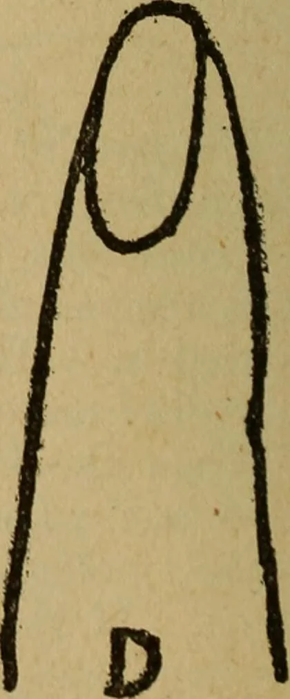 An illustration from Popular amusements for in and out of doors, embracing nine books in one volume, 1902, leaf 451
