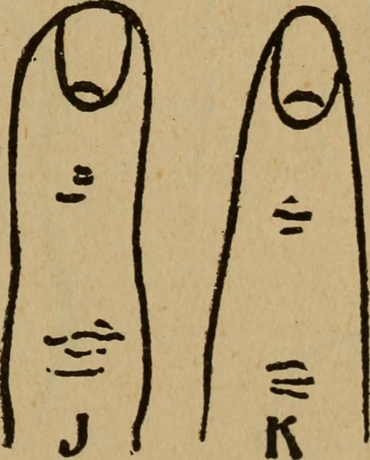 An illustration from Popular amusements for in and out of doors, embracing nine books in one volume, 1902, leaf 452