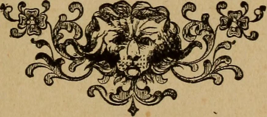 An illustration from Popular amusements for in and out of doors, embracing nine books in one volume, 1902, leaf 462