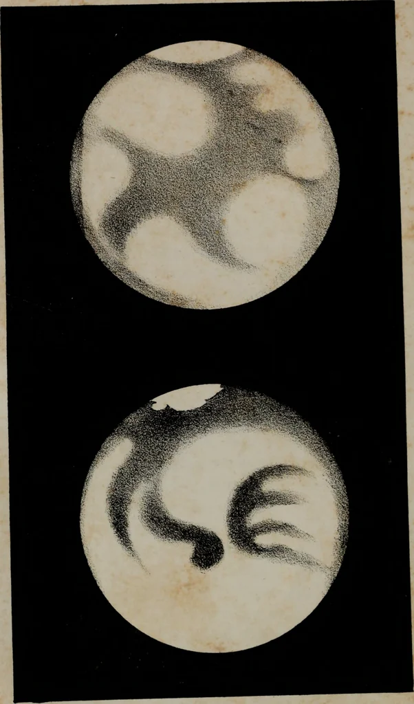 An illustration from Popular astronomy : a concise elementary treatise on the sun, planets, satellites and comets, 1865, leaf 127