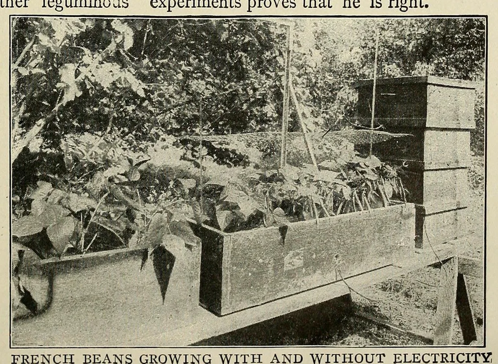 An illustration from Popular electricity in plain English, 1908, leaf 313