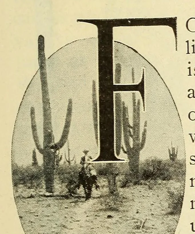 An illustration from Popular electricity in plain English, 1908, leaf 795