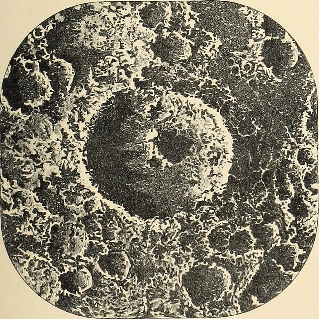 An illustration from A popular handbook and atlas of astronomy, designed as a complete guide to a knowledge of the heavenly bodies and as an aid to those possessing telescopes, 1891, leaf 136