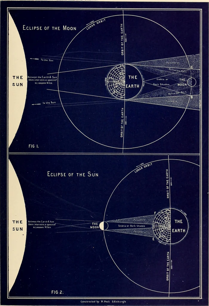 An illustration from A popular handbook and atlas of astronomy, designed as a complete guide to a knowledge of the heavenly bodies and as an aid to those possessing telescopes, 1891, leaf 150