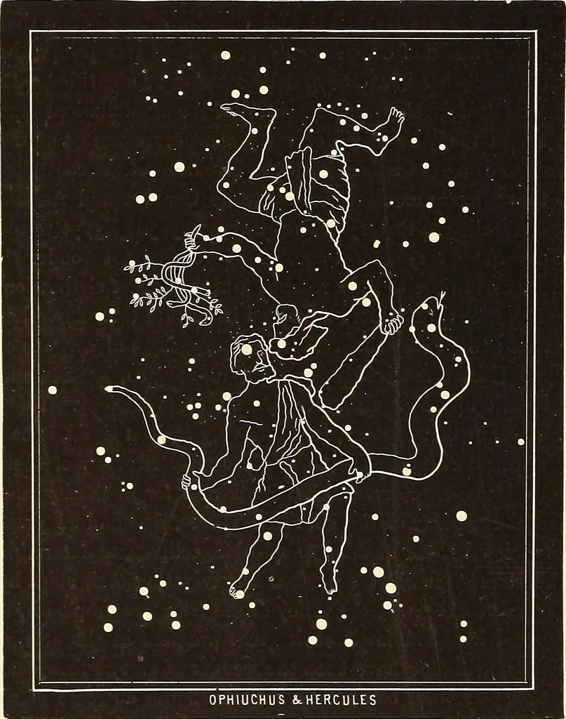 An illustration from A popular handbook and atlas of astronomy, designed as a complete guide to a knowledge of the heavenly bodies and as an aid to those possessing telescopes, 1891, leaf 27