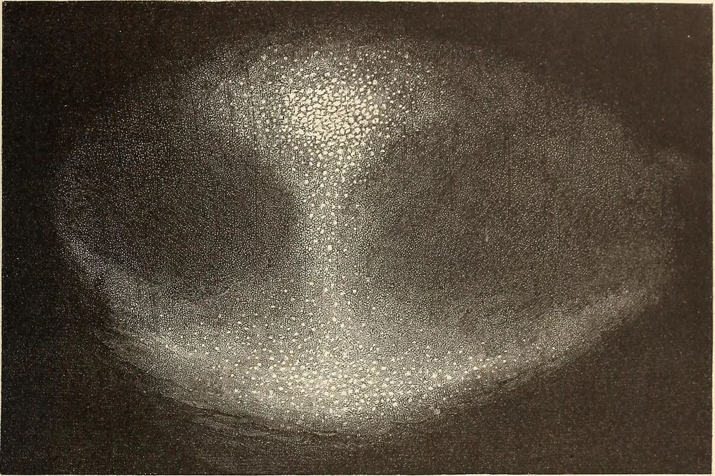 An illustration from A popular handbook and atlas of astronomy, designed as a complete guide to a knowledge of the heavenly bodies and as an aid to those possessing telescopes, 1891, leaf 70