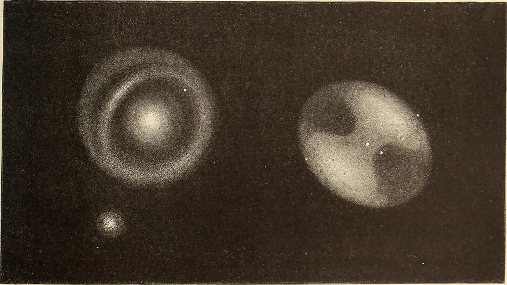 An illustration from A popular handbook and atlas of astronomy, designed as a complete guide to a knowledge of the heavenly bodies and as an aid to those possessing telescopes, 1891, leaf 70