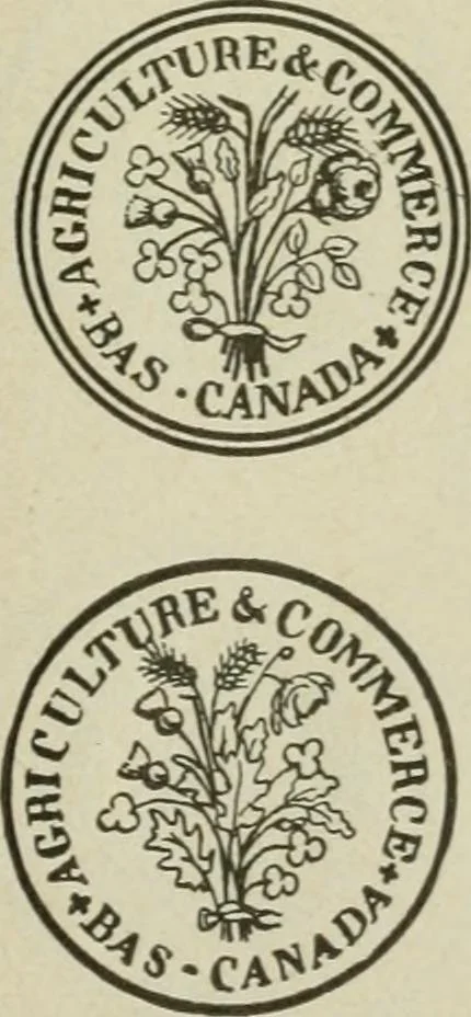 An illustration from Popular illustrated guide to Canadian coins, medals, &. &. = Guide populaire illustré des monnaies et médailles canadiennes, etc., etc. / by P.N. Breton, 1912, leaf 128