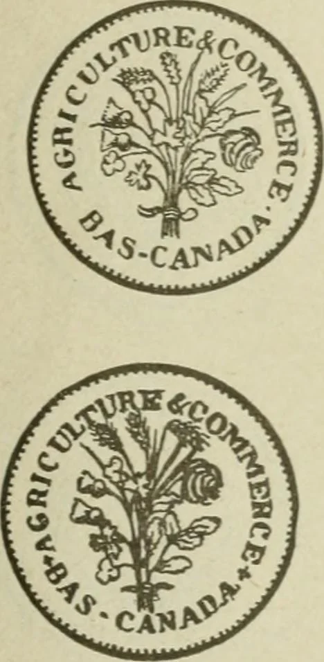 An illustration from Popular illustrated guide to Canadian coins, medals, &. &. = Guide populaire illustré des monnaies et médailles canadiennes, etc., etc. / by P.N. Breton, 1912, leaf 132