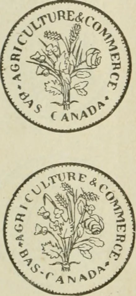 An illustration from Popular illustrated guide to Canadian coins, medals, &. &. = Guide populaire illustré des monnaies et médailles canadiennes, etc., etc. / by P.N. Breton, 1912, leaf 133