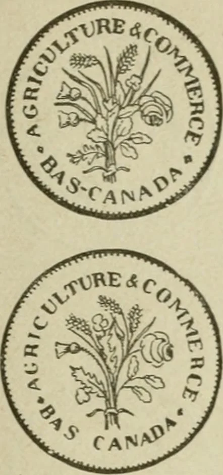 An illustration from Popular illustrated guide to Canadian coins, medals, &. &. = Guide populaire illustré des monnaies et médailles canadiennes, etc., etc. / by P.N. Breton, 1912, leaf 134