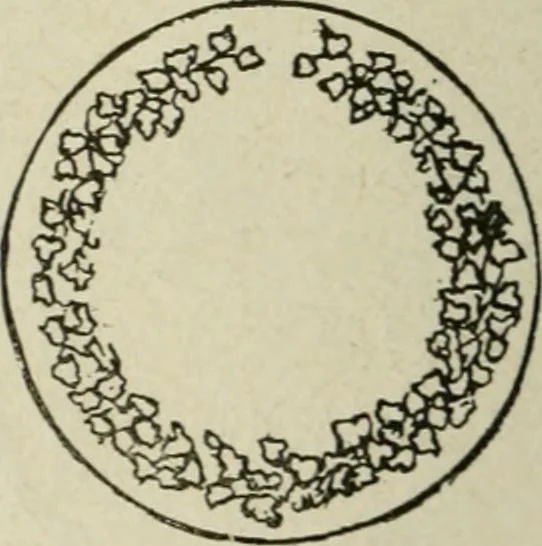 An illustration from Popular illustrated guide to Canadian coins, medals, &. &. = Guide populaire illustré des monnaies et médailles canadiennes, etc., etc. / by P.N. Breton, 1912, leaf 73