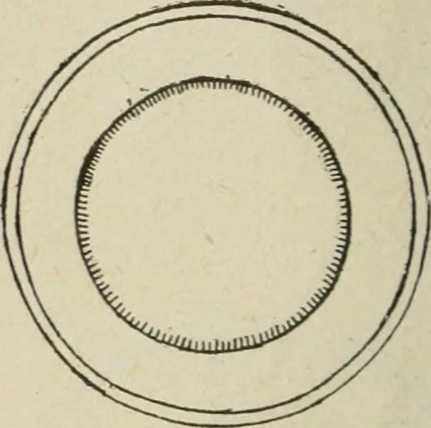 An illustration from Popular illustrated guide to Canadian coins, medals, &. &. = Guide populaire illustré des monnaies et médailles canadiennes, etc., etc. / by P.N. Breton, 1912, leaf 75