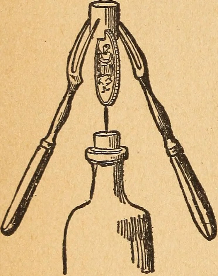 An illustration from Popular pastimes for amusement and instruction : being a standard work on games, plays, magic, and natural phenomena suitable for all occasions : containing parlor games, charming tableaux, tricks of magic, charades and conundrums, curious puzzles, phrenology and mind reading, palmistry or how to read the hand, humorous and pathetic recitations, dialogues, etc., etc. : including the delightful art of entertaining, the whole forming a charming treasury of pastimes for the home, public schools and academies, lodges, social gatherings, Sunday schools, etc., etc., 1901, leaf 141
