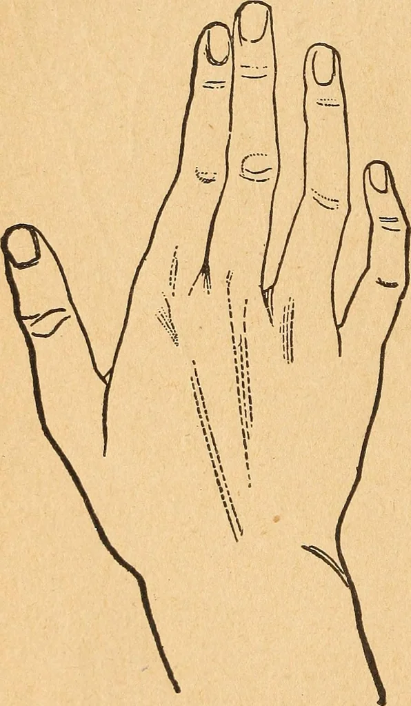 An illustration from Popular pastimes for amusement and instruction : being a standard work on games, plays, magic, and natural phenomena suitable for all occasions : containing parlor games, charming tableaux, tricks of magic, charades and conundrums, curious puzzles, phrenology and mind reading, palmistry or how to read the hand, humorous and pathetic recitations, dialogues, etc., etc. : including the delightful art of entertaining, the whole forming a charming treasury of pastimes for the home, public schools and academies, lodges, social gatherings, Sunday schools, etc., etc., 1901, leaf 157