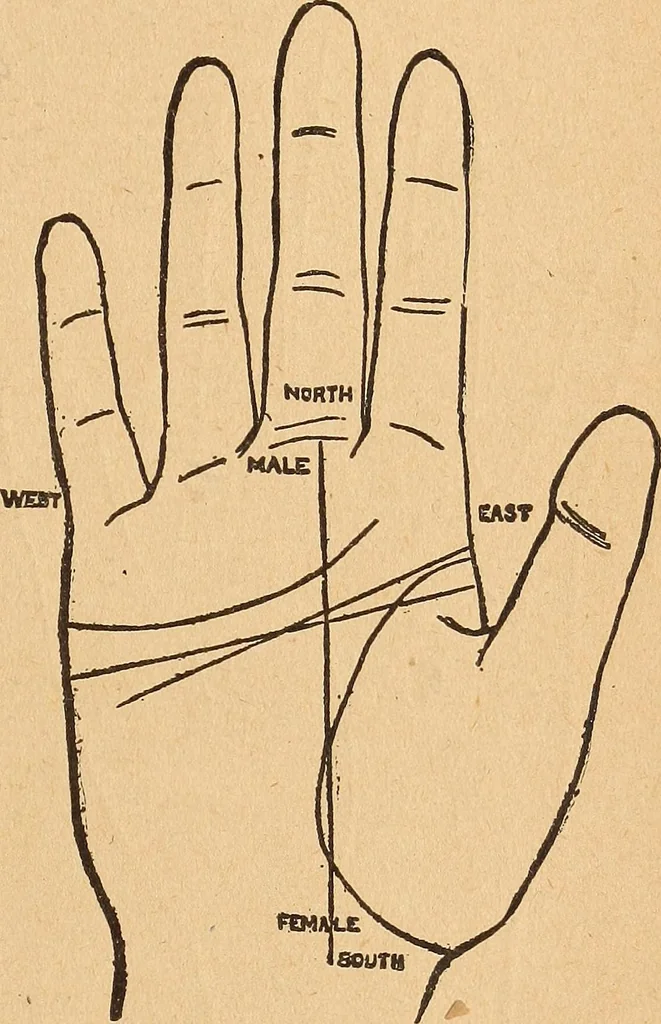 An illustration from Popular pastimes for amusement and instruction : being a standard work on games, plays, magic, and natural phenomena suitable for all occasions : containing parlor games, charming tableaux, tricks of magic, charades and conundrums, curious puzzles, phrenology and mind reading, palmistry or how to read the hand, humorous and pathetic recitations, dialogues, etc., etc. : including the delightful art of entertaining, the whole forming a charming treasury of pastimes for the home, public schools and academies, lodges, social gatherings, Sunday schools, etc., etc., 1901, leaf 164
